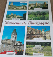 Delcampe - CPA CPSM REGION  BOURGOGNE  SOUVENIR DE BOURGOGNE DIVERS VUES  ECRITE - Bourgogne