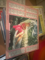 Delcampe - Calendrier 1991 - Grand Format : 1991-00