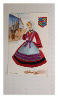 Delcampe - Bourguignonne, Carte Brodée, Folklore, Costume Régional, France - Kostums