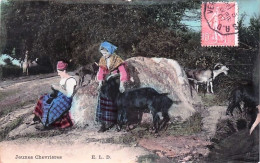 Delcampe - Agriculture - Jeunes Chevrieres  - 1907 - Elevage
