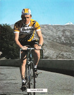 Delcampe - Vélo - Cyclisme - Coureur Cycliste Lucien Didier - Team Renault Gitane - Radsport