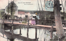 Delcampe - Agriculture -  La Vie Aux Champs - Sur La Passerelle - 1906 - Sonstige & Ohne Zuordnung