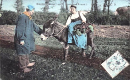 Delcampe - Agriculture -  Soigne L'ane En Pensant A Moi ! - 1908 - Sonstige & Ohne Zuordnung