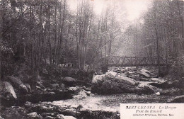 Delcampe - SART-lez-SPA - La Hoêgne - Le Pont Du Renard - 1909 - Spa