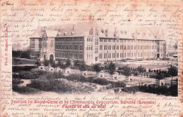 Delcampe - LEUVEN - LOUVAIN - Héverlé - Institut Du Sacre Coeur Et De L'immaculée Conception - Facade Et Aile Au Midi - 1919 - Leuven