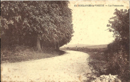 Delcampe - 8625 CPA Coulanges La Vineuse - Les Promenades - Coulanges La Vineuse