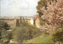 Delcampe - CPM Jerusalem Dominus Flevit - Israel