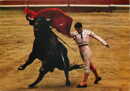 Delcampe - CPM Corrida De Toros Pase De Pecho Corrida Taureau - Stierkampf