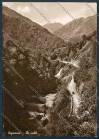 Delcampe - Verbania Bognanco Foto FG Cartolina ZF0566 - Verbania