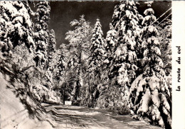 Delcampe - CPM. LES ROUSSES EN HIVER  .  LA ROUTE DU COL  .  CARTE NON ECRITE - Morez