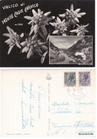 Delcampe - # VALICO DI MONTE CROCE CARNICO   1959 - Udine