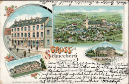 Delcampe - Schneeberg (o-9412) Gymnasium, Puppenfabrik Paufler 1899 II (Eckknick) - Autres & Non Classés