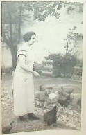 Delcampe - Romania Photo Woman Feeding Chickens Hens Poultry Farm Yard Countryside Rural Life Agriculture Old Original DEL 6 - Rumänien
