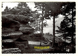 Delcampe - 67 BAS RHIN / SAINTE-ODILE /  VUE SUR LE BECKENFELSEN / 1954 - Sainte Odile