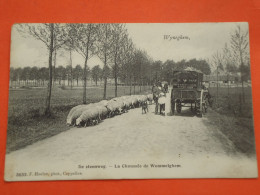 Delcampe - Wijnegem - Wyneghem  De Steenweg De Wommelghem   ( 2 Scans ) - Wijnegem