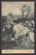 Delcampe - Vintage Postcard, Judaica, Palestine Farm Life, A Landmark - Bauernhöfe