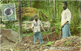 Delcampe - Panama Gravediggers For Gold And Pottery 1921 To Belgium H15852 - Panama