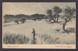 Delcampe - Vintage Postcard, Judaica, Palestine Farm Life, Harvest Field Near Shechem - Bauernhöfe