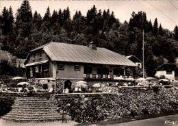 Delcampe - CPM " LA BABAUTE  " CHALET - RESTAURANT NIGHT-CLUB  "  LES ROUSSES  -  LE TABAGNOZ  .  ROUTE BLANCHE  . CARTE NON ECRITE - Morez