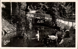 Delcampe - CPA Angouleme Le Jardin Vert Le Pont Rustique Les Cygnes - Angouleme