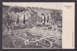Delcampe - ISRAEL, Vintage Postcard, Jerusalem, The Garden Of Gethsemane - Israel