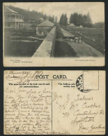 Delcampe - NORFOLK ISLAND, MAIN STREET Street Scene Horse Darwn Cart Old Postcard Australia - Autres & Non Classés