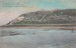 Delcampe - CPA PALESTINE (Haïfa) - Le Mont Carmel Vu De La Mer / Mount Carmel - Couleur - Palästina
