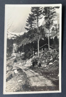 Delcampe - REFUGE AU SCHIESSROTRIED, Fotokarte Ca 1930 - Colmar