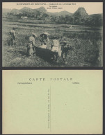 Delcampe - China Old Postcard Kouiyang Kouy-Tcheou, Chinese Farmers Threshing Rice Field 貴州 - China
