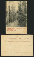 Delcampe - Indonesia JAVA Old Postcard - TOSARI Tengger Landschap - Indonesien