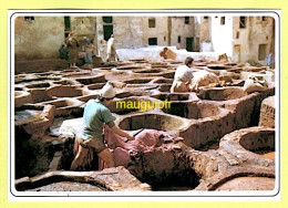 Delcampe - MAROC / FEZ (FÈS) / LES TEINTURIERS - Fez