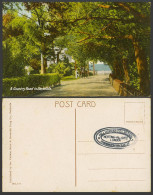 Delcampe - Bermuda Old Colour Postcard Country Road Street Scene Cart, The Yankee Store 111 - Bermuda