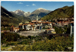Delcampe - CPSM  10.5 X 15 Alpes Maritimes   SAINT-MARTIN-VESUBIE Vue Générale Au Fond La Cime Archas Et La Cime De La Valette - Saint-Martin-Vésubie