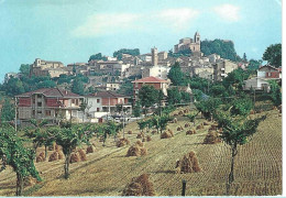 Delcampe - Santa Vittoria In Matenano - Panorama - H786 - Fermo