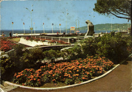 Delcampe - CPM Juan Les Pins Une Partie Des Jardins En Bordure De La Pinede - Juan-les-Pins