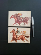 Delcampe - Reitsport, Zwei Sammelkarten, Illustrationen,sign. André Bernjond, 10,5x15cm - Andere & Zonder Classificatie