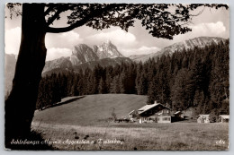 Delcampe - Schlossanger Alp Mit Aggenstein U Breitenberg Carte Postale Postcard - Pfronten