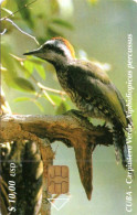 Delcampe - CUBA - CHIP CARD - BIRD - GREEN WOODPECKER - Cuba