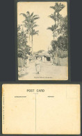 Delcampe - Barbados Old Postcard Pinfold Street Scene Palm Trees Native With Basket On Head - Barbados (Barbuda)