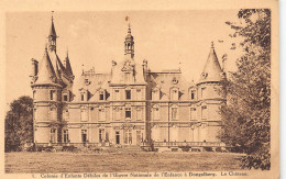 Delcampe - Colonie De Dongelberg (JODOIGNE) - Le Château. - Jodoigne