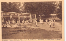 Delcampe - Colonie De Dongelberg (JODOIGNE) - La Plaine De Jeux.  Le Net-ball - Jodoigne