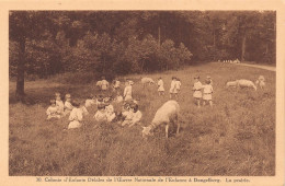Delcampe - Colonie De Dongelberg (JODOIGNE) - La Prairie. - Jodoigne