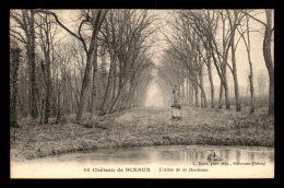 Delcampe - 92 - SCEAUX - LE CHATEAU - ALLEE DE LA DUCHESSE - Sceaux