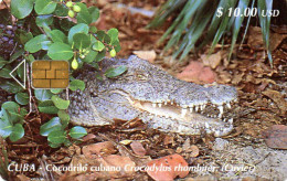 Delcampe - CUBA - CHIP CARD - ANIMAL - CROCODILE - Cuba
