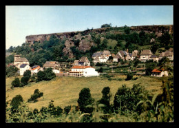 Delcampe - 15 - CARLAT - LE BOURG ET LE ROCHER - Carlat