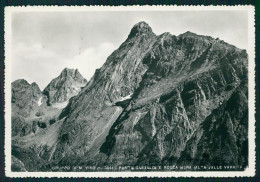 Delcampe - Cuneo Valle Varaita Gruppo Monviso PIEGHINA Foto FG Cartolina MZ1735 - Cuneo