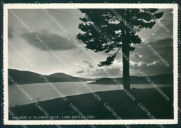 Delcampe - Cosenza San Giovanni In Fiore Lago Arvo Sila PIEGHINA Foto FG Cartolina KB4117 - Cosenza