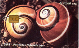Delcampe - CUBA - CHIP CARD - SNAIL - Cuba