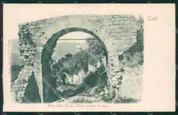 Delcampe - Perugia Todi Cartolina QZ3211 - Perugia