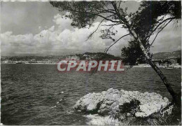 Delcampe - CPM Nice Alpes Maritimes Paysage Mediterraneen A L'Entree Du Port - Sonstige & Ohne Zuordnung